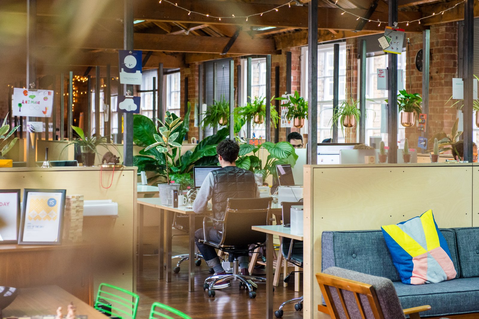 Spotlight – Animade