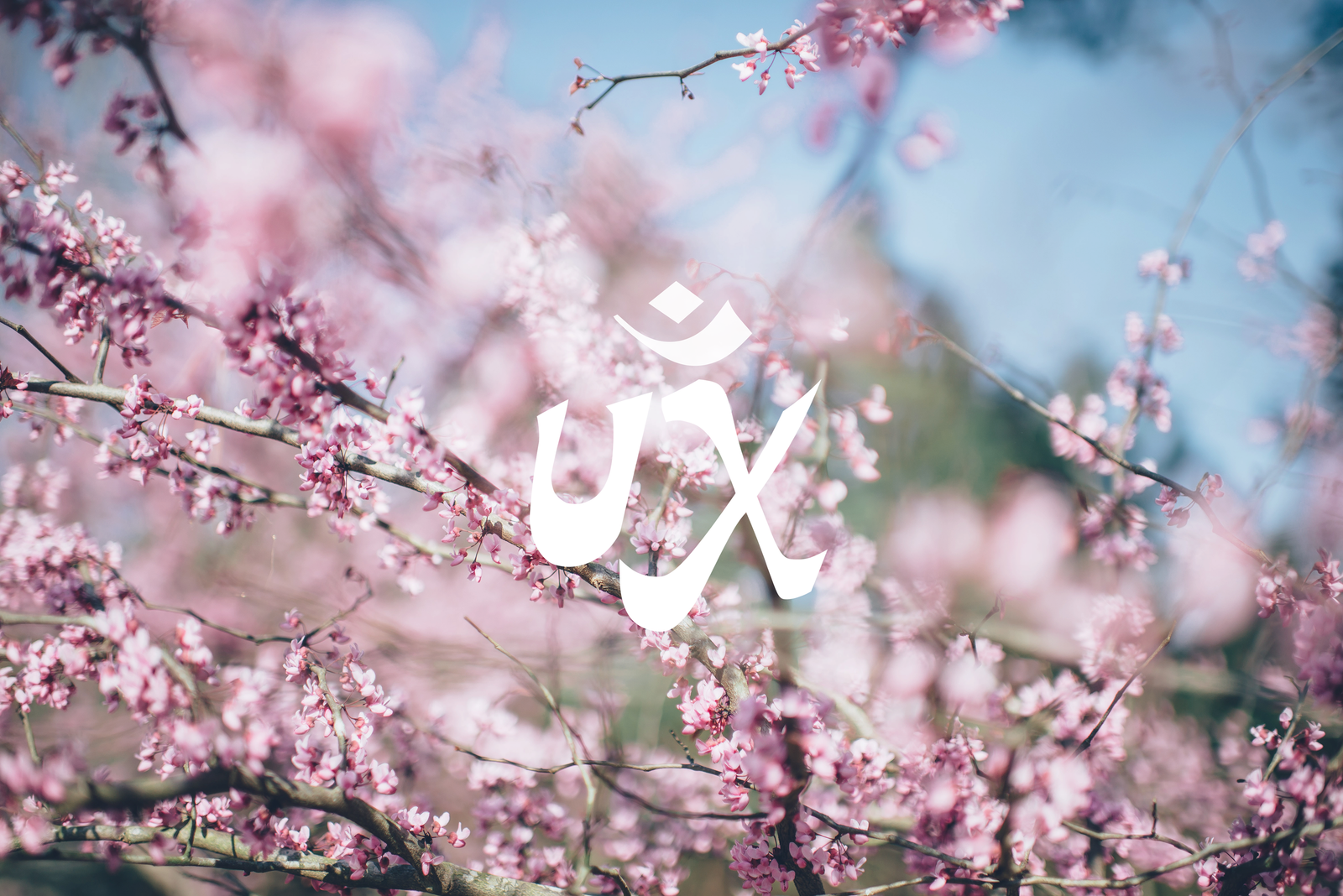 Finding Your UX Mantra